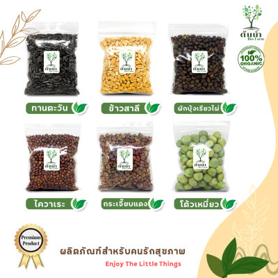 เมล็ดต้นอ่อน เมล็ดผักไมโครกรีน (แบบซองราคาส่ง) #microgreen #ต้นอ่อนทานตะวัน #โตเหมี่ยว #ไควาเระ #ผักบุ้ง #ไมโครกรีน