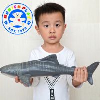 Munich Play - โมเดล Shark Whales ปลาฉลามวาฬ ขนาด 41.00 CM แบบนิ่ม (จากหาดใหญ่)