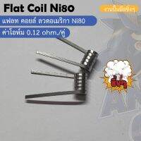 โครตถูกที่สุด!!!Anubis coil Ni80(สายควัน) Flat Coil ลวดพันสำเร็จ งานปั้นมือซิ่งๆพันสำเร็จ (1คู่/2 ชิ้น) แกน3.0 *รับประกันความซิ่ง*