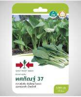 Good ศรแดง ผักกาดกวางตุ้งต้น ทศกัณฐ์ 37 - สีขาว