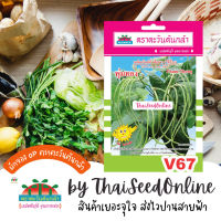 ADVOP ซฟ เมล็ดพันธุ์ ถั่วไร้ค้าง พุ่มทอง ตราตะวันต้นกล้า V67