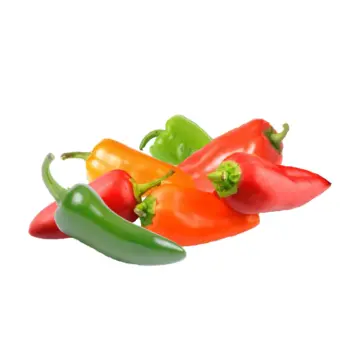 Fresh Red Bell Pepper For Delivery Near Me – Ecosprout