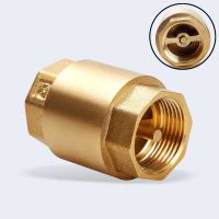 1pc 1/2" NPT Brass Thread In-Line Spring Check Valve 20/25mm Diameter 200WOG For Water Control float valve Valves