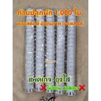 ☢™∈ ถ้วยปลูกผักไฮโดรโปนิกส์ เกรด คุณภาพดีเยี่ยม แพ็คละ 1000ใบ(ยกแพ็ค)