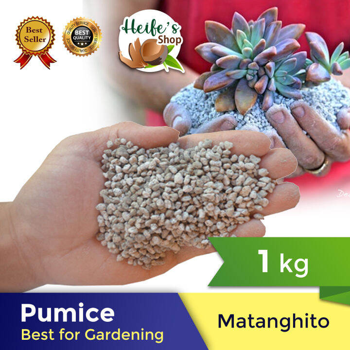 Pumice stone 1kg. ( 👉🏻matanghito size 👈🏻 ) 👉 Rich in Minerals