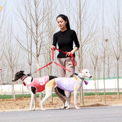 Detachable Dog Leashes Double Head Dog Leads One Drag Two or Three Walking Pet Traction Rope for Gree Greyhound Whippet