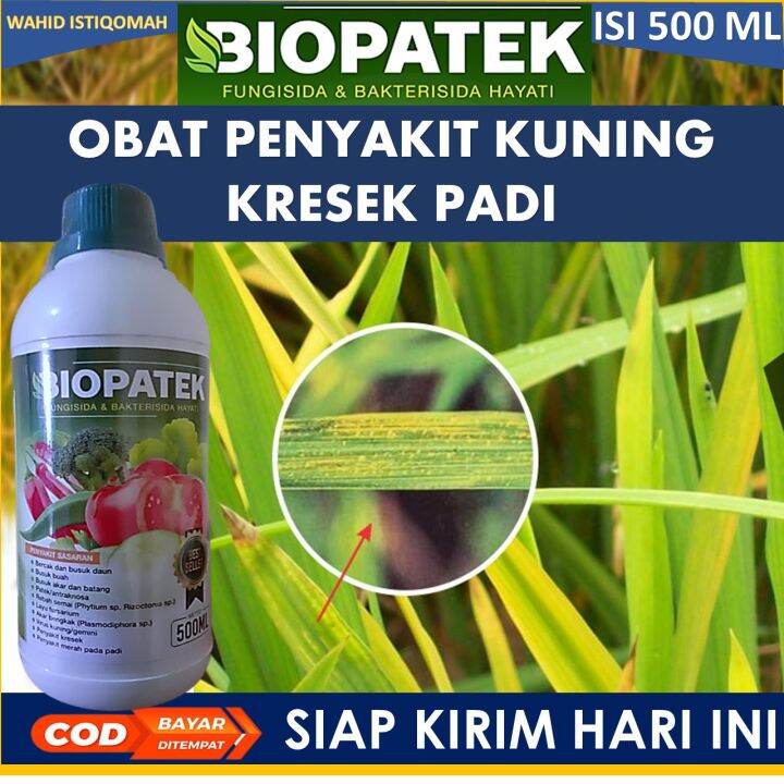 Paling Laris Biopatek Ml Obat Semprot Hama Kuning Kerdil Daun Padi