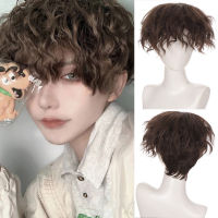 Ailiade Males Wig Fashion Short Curly Brown Cosplay Costume Anime Halloween Synthetic With Bangs for Men Women Boy Fake Hair