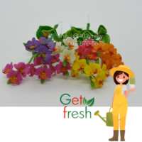 Get Fresh ดอกไม้ดินปั้น 10 ต้น ,ดอกไม้จิ๋ว , ดอกกล้วยไม้ พาโนซิส,  Miniature Clay Flower , Fake Flower ,  ขนาดวัดด้วยมือประมาณ 2.5 x 6 cm  เกรดสวยงานละเอียด