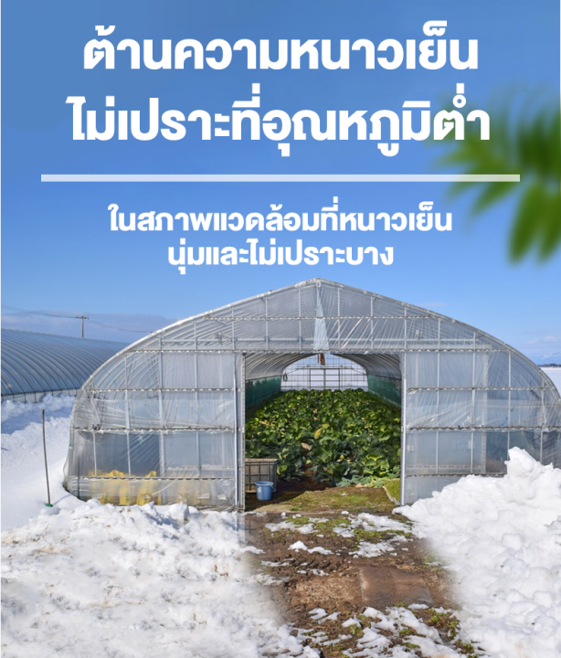 greenhouse-พลาสติกใส-ผ้าใบคลุมโรงเรือน-พลาสติกโรงเรือน-พลาสติกคลุมโรงเรือน-uv7-ผ้ายางคลุมโรงเรือน-สีใส-หนา-150-ไมครอน-โรงเรือนแคคตัส-3x5-3x10