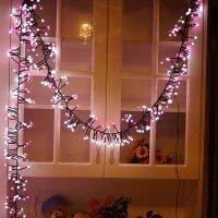 8 Modes 400leds warmwhite and pink Waterproof OutdoorString Lights for Rooms, Holiday, Christmas, Birthday