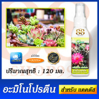 อะมิโนโปรตีน ชนิดฉีดพ่น สำหรับแคคตัส Amino Protein For Cactus ป้องกันแมลง และเชื้อรา ต้นโตไวสมบูรณ์ แข็งแรง ต้นและดอกสีเข้มสด