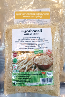 จมูกข้าวสาลีอบ (80กรัม และ 400กรัม){เจ} พร้อมรับประทาน(Vegetarian Wheat Germ: Ready To Eat 80g &amp; 400g)