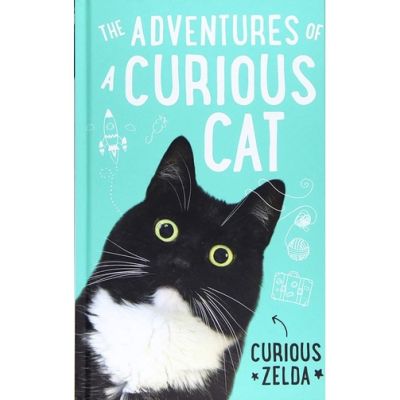 One, Two, Three ! หนังสือภาษาอังกฤษ The Adventures of a Curious Cat