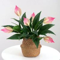 Artificial Flowers Fake Plant Anthurium 1 pc for Home and Office Greening DecorOutdoor Landscape LayoutTropical Theme Scene Construction