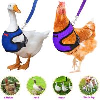 Adjustable Chicken Harness Leash Comfortable And Breathable Small Size Hen Pet Vest For Chicken Duck Goose Training Walking Leashes