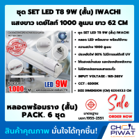 IWACHI หลอดไฟนีออนพร้อมราง LED T8 9 W ชุดหลอดไฟพร้อมราง LED โคมไฟ LED หลอดไฟ LED ฟลูเซ็ท LED โคมไฟสำเร็จรูป T8 9 W (ขาบิดล็อก) แสงสีขาว (DAYLIGHT) (แพ็ค 6 ชุด)