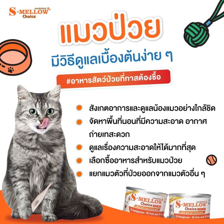 s-mellow-choice-for-cat-อาหารสุขภาพสำหรับแมว-160g-exp-02-2023