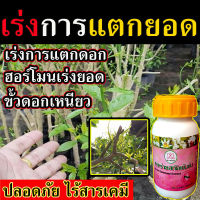 ?สินค้าขายดี? [ไร้สารเคมี] ฮอร์โมนเร่งยอด 1 ขวด  สารสาหร่ายสกัดเข้มข้น  เร่งยอด กระตุ้นการแตกตา เร่งแตกยอด ยาเร่งการแตกตา น้ำยาเร่งการแตกตาพืช ปุ๋ยเร่งยอด มี ไซโตคินิน ฮอโมนไซโตไคนิน