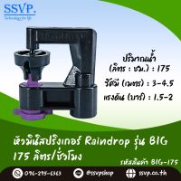 สปริงเกอร์ Raindrop รุ่น BIG-175 อัตราการจ่ายน้ำ 175 ลิตร/ชั่วโมง