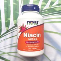 Niacin วิตามินบี 3 ไนอะซิน Niacin 500 mg 250 Tablets (Now Foods) B3 B-3