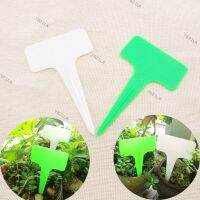 50pcs T-type Plastic Nursery Garden Tag Flower Label Plant Pot Marker for Plants DIY Garden Decoration Tool Writing YB21TH