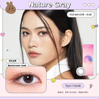 Misslens/Glam รุ่น Nature Gray (รายเดือน) รองรับสายตาปกติ