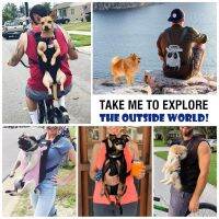 Pawaboo Adjustable Pet Carrier Backpack Travel Bag, Legs Out, Easy-Fit for Traveling Hiking Camping for Small Medium Dogs Cats Puppies