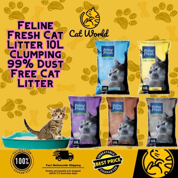 24HrS SALE NEW BEST SELLER Feline Fresh Cat Litter 10L Clumping 99 Dust Free Cat Litter SALE