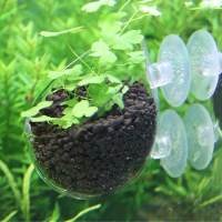 ALILAZA 2Pcs Aquatic Plantแก้วใสถ้วยหม้อAquarium Aquascapingตู้ปลาผู้ถือ