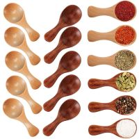 Short Handle 10 Packets of Small Wooden Spoon Tea Honey Coffee Condiment Salt Sugar Spoon Baby Mini Spoon Kitchen Accessories Cables