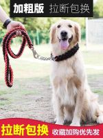 P Chain สายจูงสุนัขสุนัขขนาดกลางขนาดใหญ่สายจูงสุนัขรีทริฟเวอร์ทองปลอกคอสุนัขแบบโซ่สุนัขลาบราดอร์