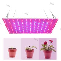 Power LED Plant Grow Light Lamp Kit Phytolamp For Flower 2835 Beads Growth Lighting Full Spectrum Indoor Hydroponics W6TH