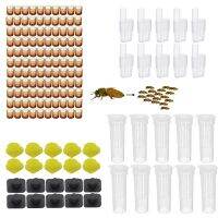 1ชุด Apicultura Kit Complete Bee Queen ระบบการเลี้ยงพลาสติกป้องกันกรงเซลล์ฐาน Celular Bees เครื่องมือเซลล์ขาย