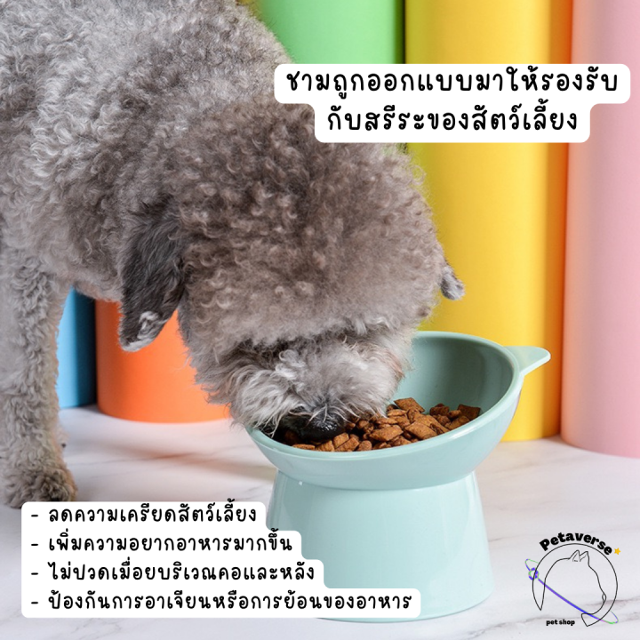 petaverse-petshop-ชามอาหารสัตว์เลี้ยงทรงสูงและเอียง-ชามอาหารแมวและสุนัข-เพื่อสุขภาพของสัตว์เลี้ยง