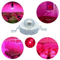 100pcs High Power LED Chip 3W Grow LED 660nm Deep Red SMD Diode COB DIY Grow Light For Plant Fruit Growth