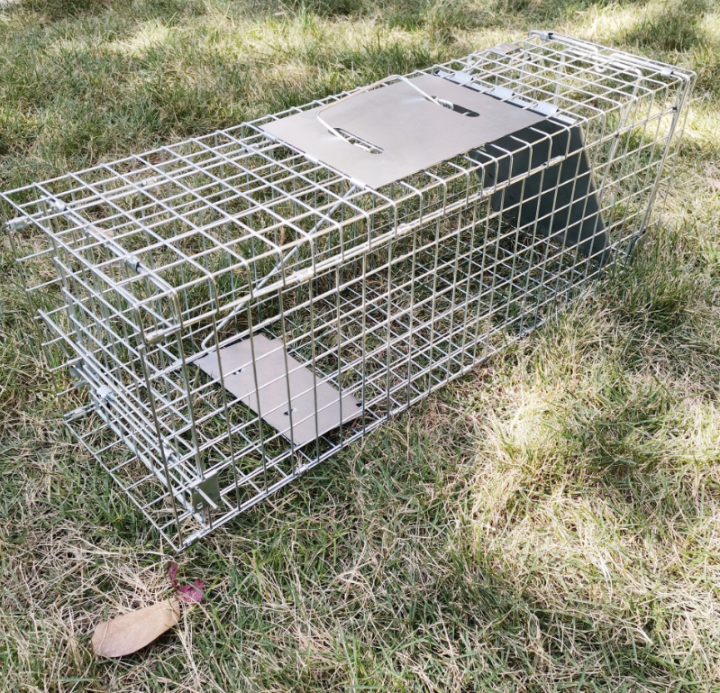 gregory-live-animal-cage-trap-for-x-large-nuisance-animals-mycattrap-xl-cat-trap-กรงดักแมว-กรงดักสุนัข-กรงดักแมว-กับดักแมว-จับแมวจรจัด-ดักจับแมว-กับดักใช้จับแมว-แมวหนีออกจากบ้าน-ทำจากเหล็กเส้น