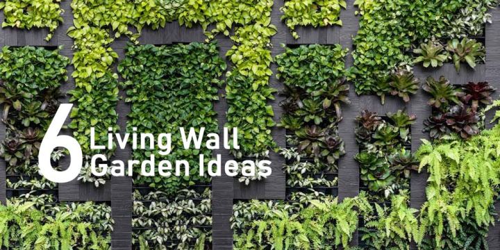 สวนแนวตั้ง-กระถางต้นไม้-แนวตั้ง-ตกแต่งผนัง-vertical-garden-ezy-green-wall