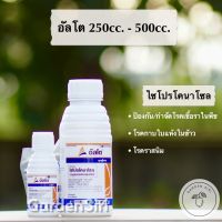 อัลโต ซินเจนทา ไซโปรโคนาโซล (Cyproconazole) ยากำจัดโรคพืช ยากำจัดเชื้อรา ราสนิม