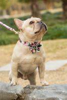 (HOT) Girl Dog Collar Dog Flower And Leash Set For Dog Cat With Rose Gold Metal Buckle