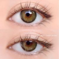 คอนแทคเลนส์เกาหลี IDOLLENS Canna Roze Olive รายปี