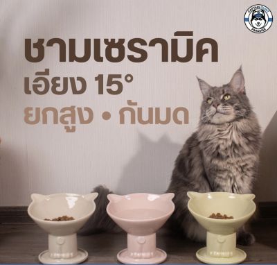 ชามแมวเซรามิก Yumiko Hand Crafted Ceramic Pet Bowl