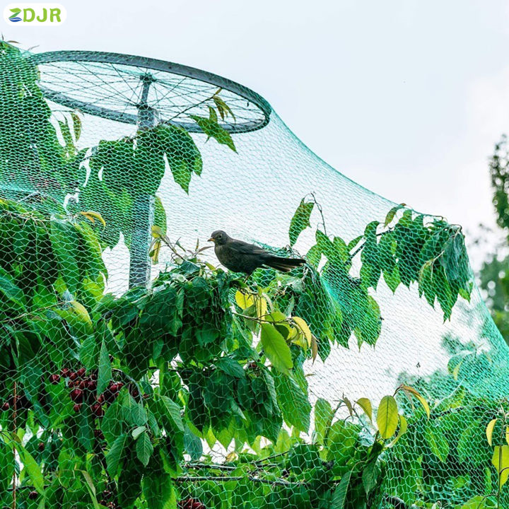 zdjr-รั้วตาข่ายสำหรับสวนนกสีเขียวยืดหยุ่นตาข่ายติดตั้งได้ง่ายยืดได้สำหรับสตรอเบอรี่ถั่วและถั่ว