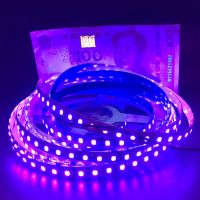 2835 5050 SMD 60leds/m 120LEDs 5V 12V  UV395-405nm 390 400 Ultraviolet Purple Led Flexible Strip tape Light Tape  lighting LED Strip Lighting