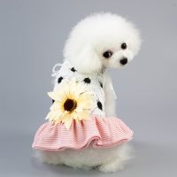 Summer Pet Clothes Dog Wedding Dress For Small Dogs Dresses