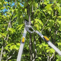 SK5 กรรไกรตัดกิ่งไม้ ยืดหดได้ ด้ามยาว ตัดกิ่งไม้สูง Cutting Branches pruning shears กรรไกรแต่งกิ่ง solo ปรับความยาวได้68-105