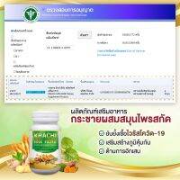 กระชายขาว มิกซ์ Krachi Mix วิตตามินซี 60 เม็ด อย.1310945950079