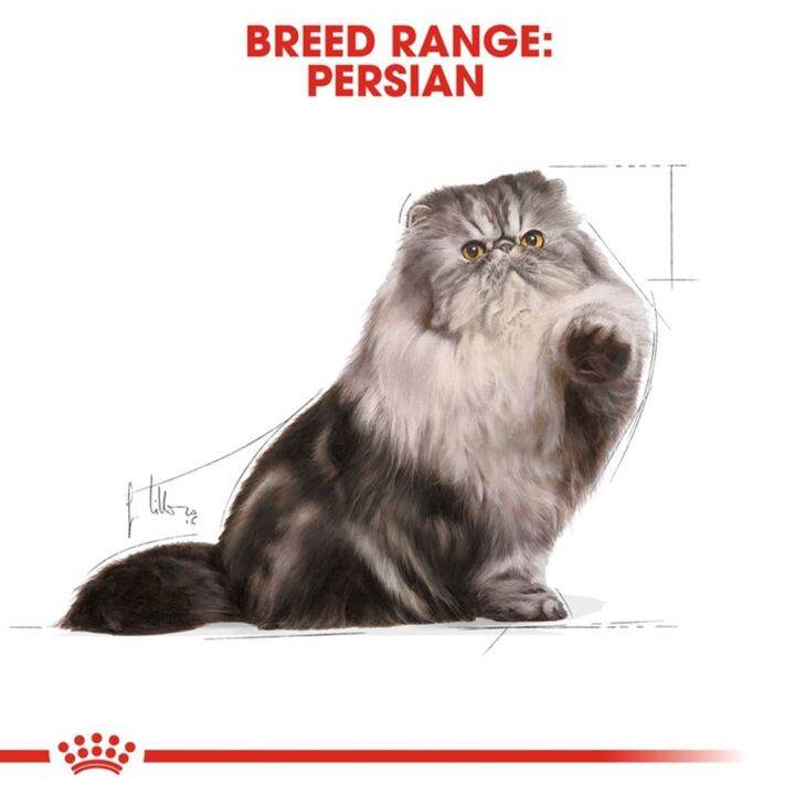 ยกกล่อง-12-ซอง-royal-canin-persian-wet-cat-food-อาหารเปียกแมว-พันธ์เปอร์เซีย-ขนาด-85-กรัม