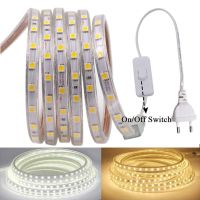 SMD 5050 220V LED Strip Flexible Light 60leds/M High Brightness Outdoor Waterproof LED Strip Light 1M/2M/3M/5M/6M/8M/10M/15M/20M LED Strip Lighting