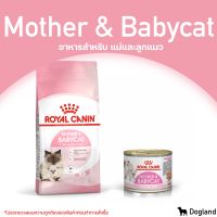 Royal Canin Mother &amp; Babycat อาหารสำหรับ แม่และลูกแมว